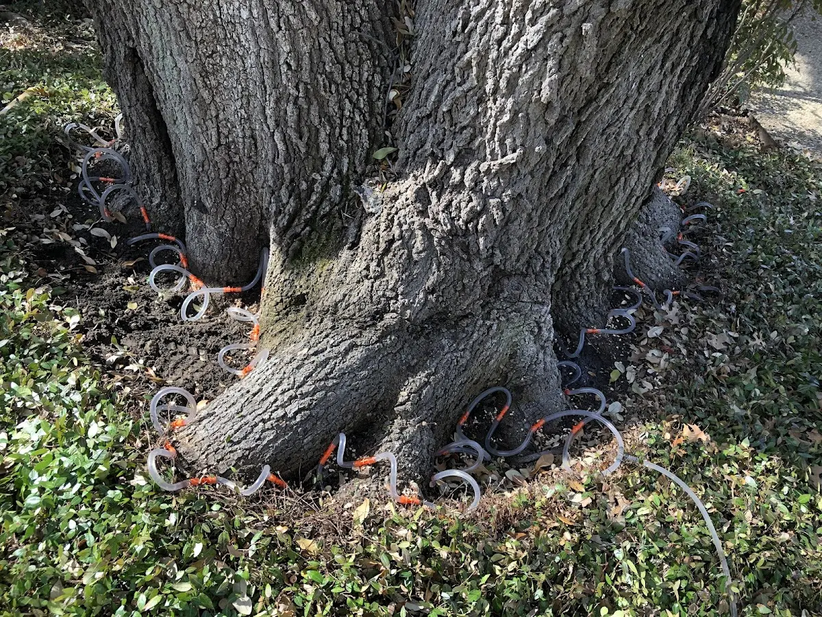 Detailed Shrub and Hedge Trimming job site in Ethel